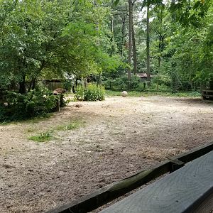 Center of bison yard