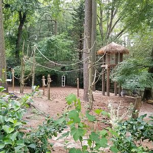 Another view of macaw area