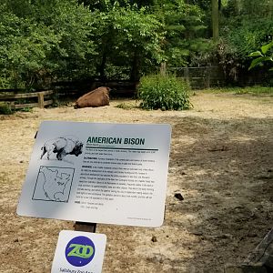 Bison sign