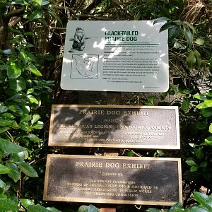 Black-tailed prairie dog sign
