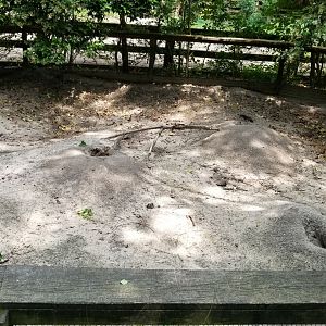 Prairie dog enclosure