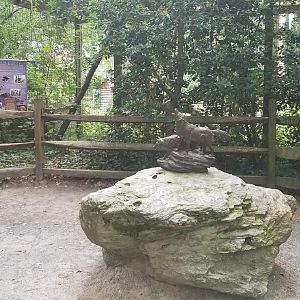 Wolf statue in front of bald eagles