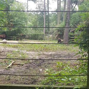 Another view of back of bison yard