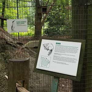 Signs for beaver and heron