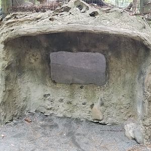 "viewing area" for beaver