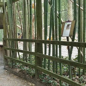 More of raised bear walkway