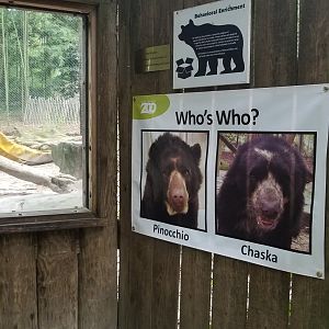 "Who's who?" for bears