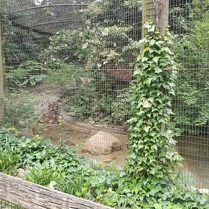 Left side of otter enclosure