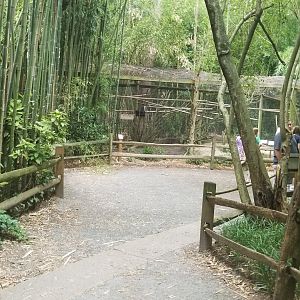 Path to ocelot/coati/monkeys