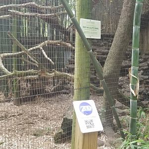 Ocelot enclosure