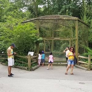 North american ducks exhibit