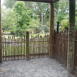 Wallaby viewing area