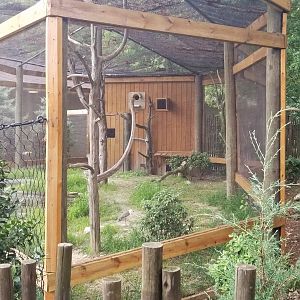 Second australian aviary