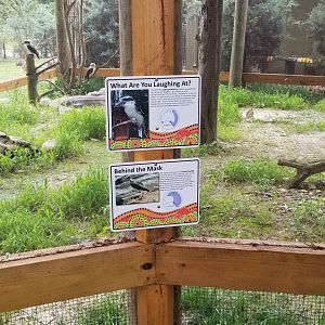 Kookaburra and masked lapwing signs