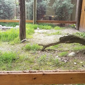 Another view of aviary