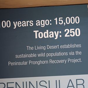 Peninsular Pronghorn Conservation Signage
