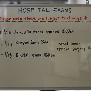 Exam Signage