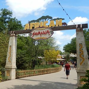 5/21/2018 - African Savanna Entry Arch