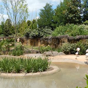 5/21/2018 - Flamingo Pond