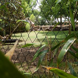 5/21/2018 - Separate Hoofstock Paddock