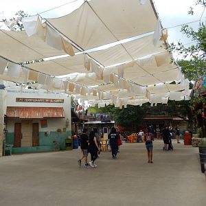 5/21/2018 - African Savanna Village