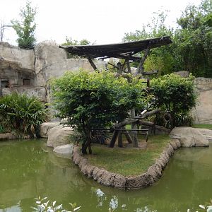 5/21/2018 - White-Cheeked Gibbon Exhibit