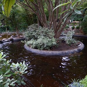 5/21/2018 - Waterfowl Pond