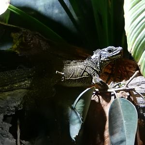 5/21/2018 - Light Side vs. Dark Side