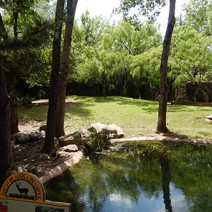 5/21/2018 - White-Tailed Deer and Sandhill Crane Habitat