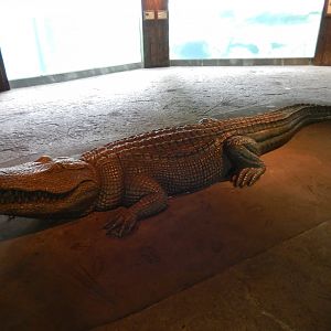 5/21/2018 - American Alligator Statue