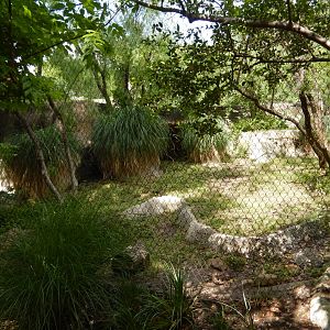 5/21/2018 - Jaguar Habitat (Right Half)