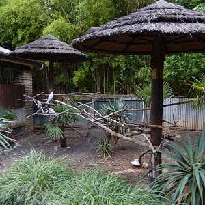 5/21/2018 - Australian Outback Bird Habitat