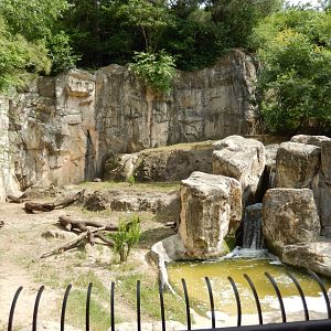 5/21/2018 - Striped Hyena Exhibit