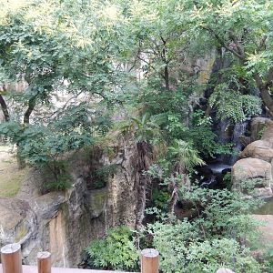 5/21/2018 - Beautiful Tiger Moat