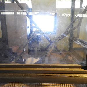 Northern Raccoon indoor exhibit - Baby Barn - Animal Gardens Petting Zoo