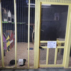 Domestic Rabbit walk-through - Baby Barn - Animal Gardens Petting Zoo