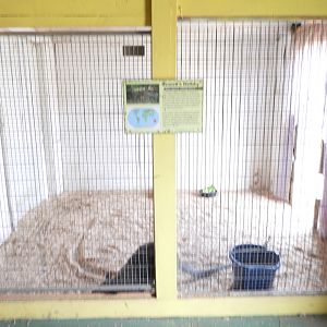 Bennett's Wallaby indoor exhibit - Baby Barn - Animal Gardens Petting Zoo