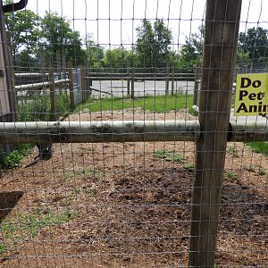 Bennett's Wallaby outdoor exhibit (first half) - Baby Barn - Animal Gardens Petting Zoo