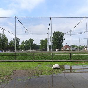 Indian Peafowl exhibit - Baby Barn - Animal Gardens Petting Zoo