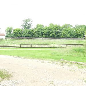 Domestic Donkey exhibit - Wilderness Trail - Animal Gardens Petting Zoo