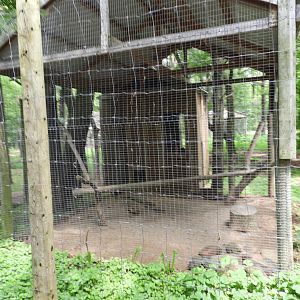 Woodchuck exhibit - Wilderness Trail - Animal Gardens Petting Zoo