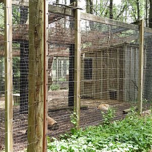 Red Fox exhibit #2 - Wilderness Trail - Animal Gardens Petting Zoo