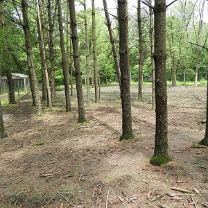 White-Tailed Deer walk-through (first half) - Wilderness Trail - Animal Gardens Petting Zoo