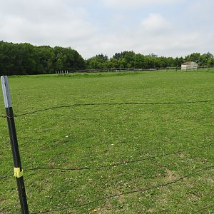 Domestic Horse exhibit - Indian Village - Animal Gardens Petting Zoo