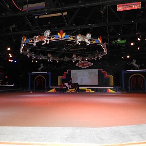 The Dancing Horses Theater - Animal Gardens Petting Zoo