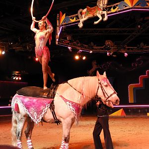 From Saddle to Trapeze