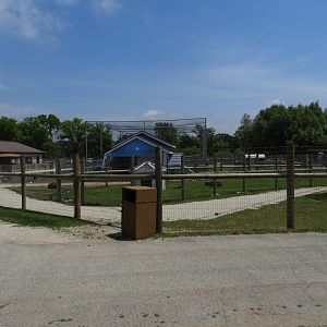 Farm walk-through - Baby Barn - Animal Gardens Petting Zoo