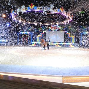 Horse among the Bubbles