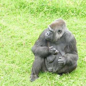 Hlala Kahili, June 2018