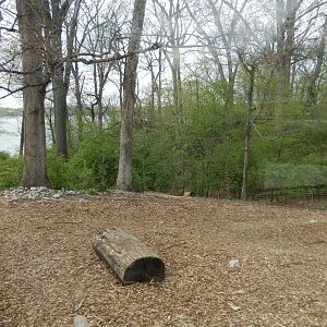 5/2/2018 - Gray Wolf Habitat